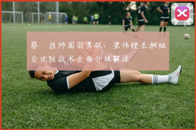 蔡赟挂帅国羽男双，梁伟铿王昶组合攻防战术全面升级解读
