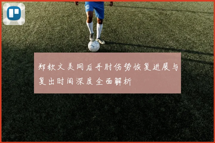 郑钦文美网后手肘伤势恢复进展与复出时间深度全面解析