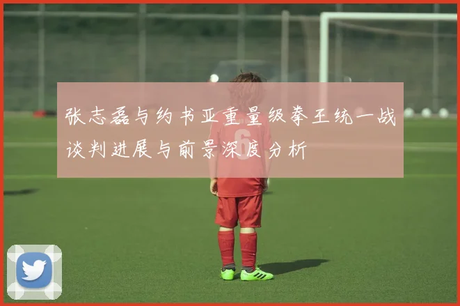 张志磊与约书亚重量级拳王统一战谈判进展与前景深度分析