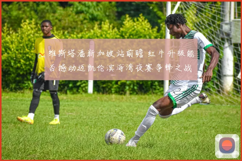 维斯塔潘新加坡站前瞻 红牛升级能否撼动迈凯伦滨海湾夜赛争锋之战